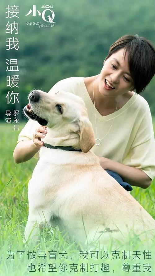 巴黎第四大学学信网认证办理